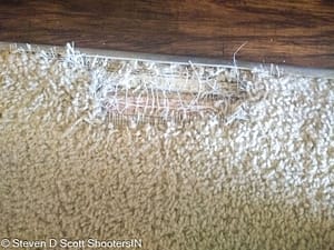 Carpet tear in dining room living area before