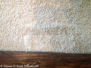 Carpet tear in dining room living area after