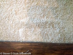 Carpet tear in dining room living area after