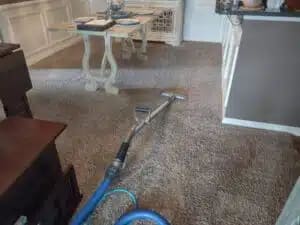 Carpet cleaning Indianapolis dining area before after