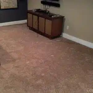 carpet cleaning in Franklin