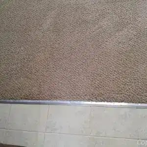 Carpet Cleaning Services in Indianapolis