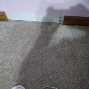 carpet cleaning in Franklin