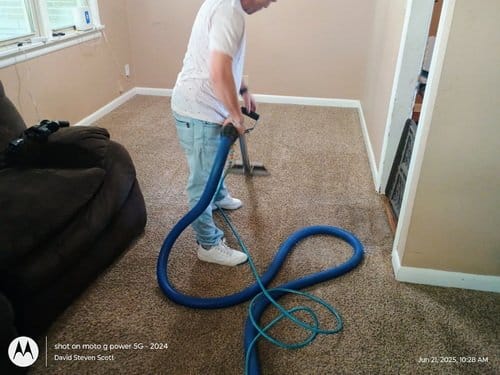 carpet clean house before after cleaning